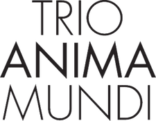 Trio Anima Mundi